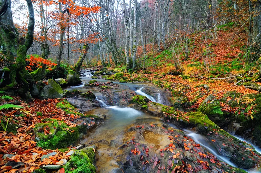 Tajemství krajiny